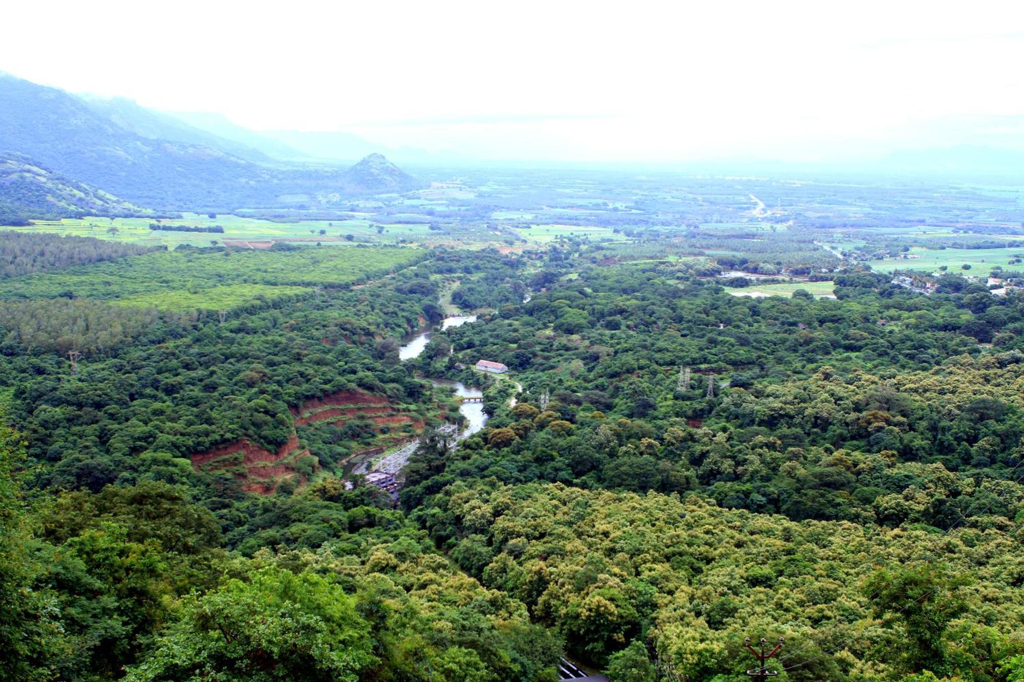 Spicegreen Homestay,Thekkady Exteriér fotografie